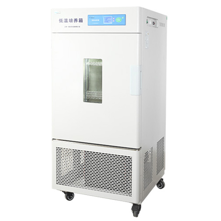 上海一恒LRH-250CA低溫培養(yǎng)箱