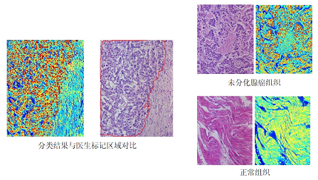 彩譜臺(tái)式分光測(cè)色儀CS-820N